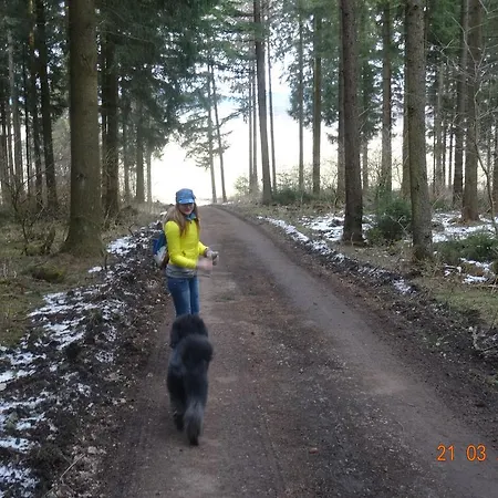 Szálloda 4 Jahreszeiten Mit Restaurant 3*