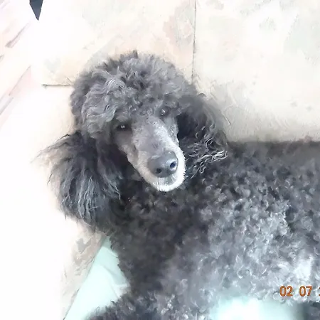 4 Jahreszeiten Mit Restaurant 3* Albstadt