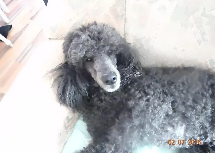 4 Jahreszeiten Mit Restaurant 3* Albstadt